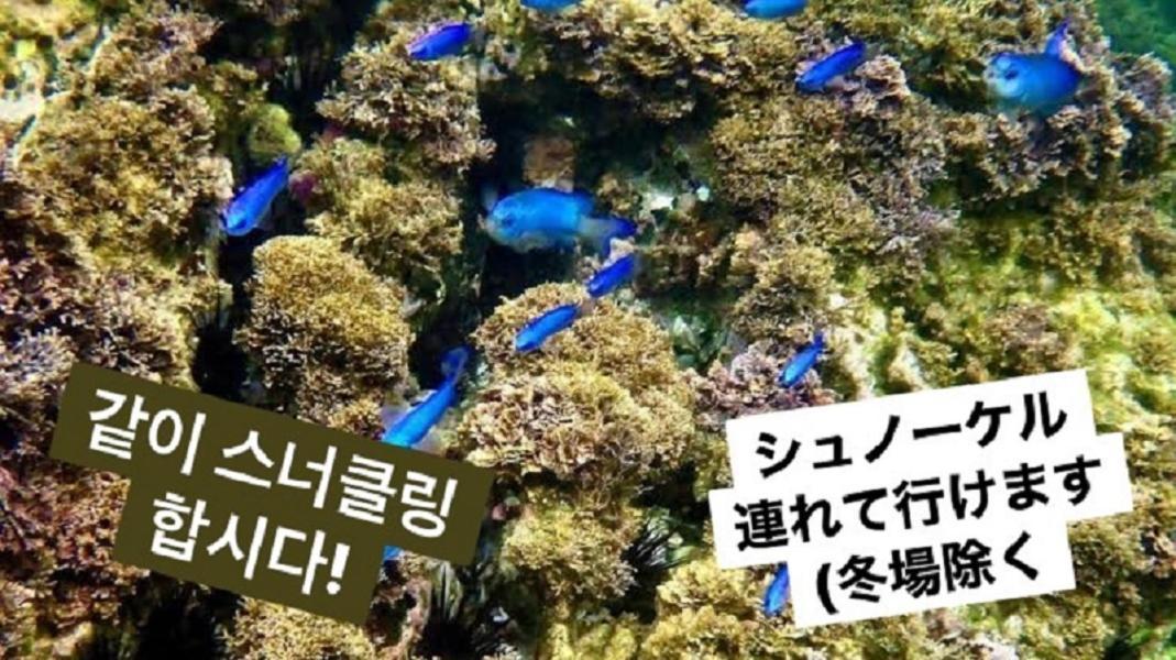 Plage Yuigahama Kamakura Extérieur photo